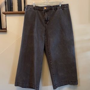 ANTHROPOLOGIE PILCRO wide legged cropped jeans